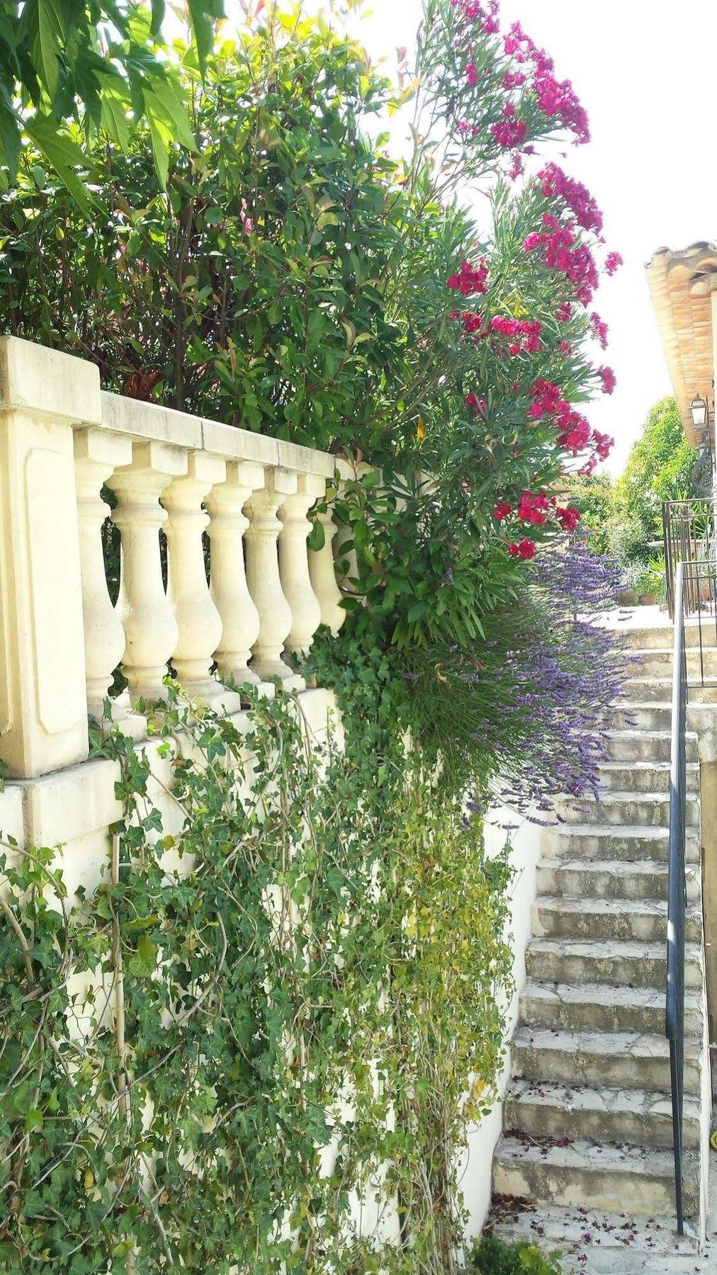 La Muse Du Paradis Montauroux Exterior foto